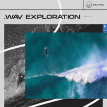 Cover art for .Wav Exploration: Ambient Palettes pack