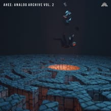 Cover art for Ahee's Analog Archive 2 pack