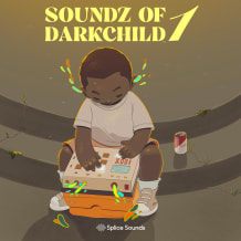 Cover art for Soundz of Darkchild 1 pack