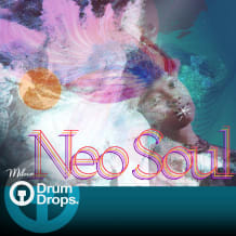 Cover art for Neo Soul pack