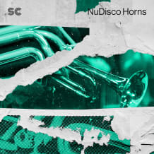 Cover art for NuDisco Horns pack