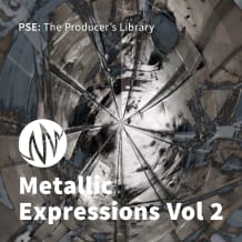 Cover art for Metallic Expressions - Vol. 2 pack