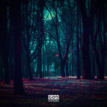 Cover art for Dark Forest pack