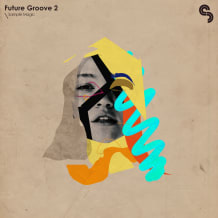 Cover art for Future Groove 2 pack