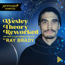 Cover art for Wesley Theory Reworked: Hip-Hop & Electronica Stacks by Ray Brady pack