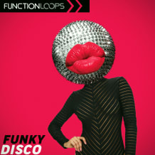 Cover art for Funky Disco pack