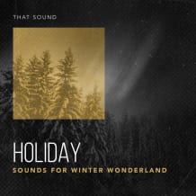 Cover art for Holiday pack