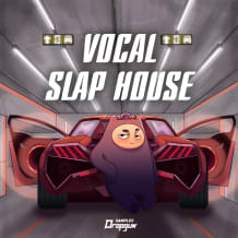 Cover art for Vocal Slap House pack