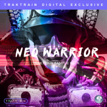 Cover art for Neo Warrior pack