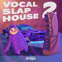 Cover art for Vocal Slap House 2 pack