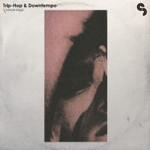 Cover art for Trip-Hop & Downtempo pack