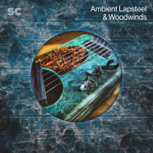 Cover art for Ambient Lapsteel & Woodwinds pack
