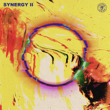 Cover art for Synergy 2 pack