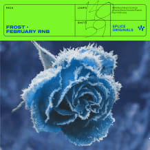 Cover art for Frost: February RnB pack