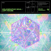 Cover art for Holographic Soul: Lofi House pack