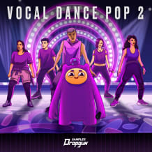 Cover art for Vocal Dance Pop 2 pack