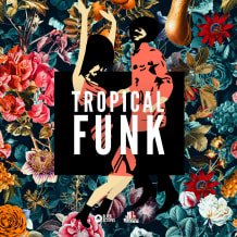 Cover art for Tropical Funk by Basement Freaks pack