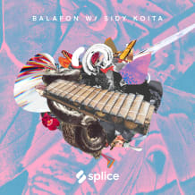 Cover art for Balafon with Sidy Koita pack