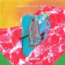 Cover art for Senegalese Dub pack