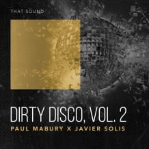 Cover art for Dirty Disco Vol. 2 pack