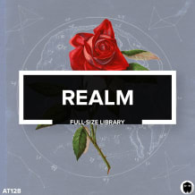 Cover art for Realm pack