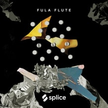Cover art for Fula Flute with Amadou Ba pack