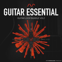 Cover art for Guitar Essential Vol 1 pack