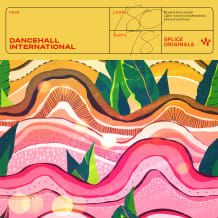 Cover art for Dancehall International pack