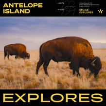 Cover art for Antelope Island pack
