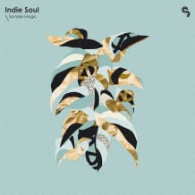 Cover art for Indie Soul pack