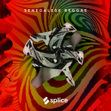 Cover art for Senegalese Reggae pack