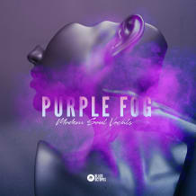 Cover art for Purple Fog - Modern Soul Vocals pack