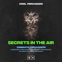 Cover art for Secrets In The Air: Cinematic Percussion pack
