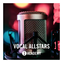 Cover art for Vocal Allstars pack