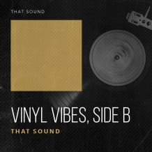 Cover art for Vinyl Vibes - Side B pack