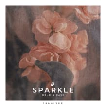 Cover art for Sparkle - Drum & Bass pack