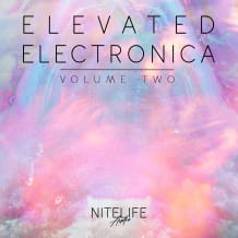 Cover art for Elevated Electronica Vol. 2 pack