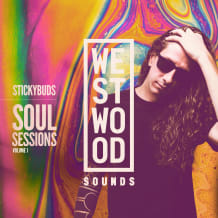 Cover art for Stickybuds Soul Sessions Vol. 1 pack