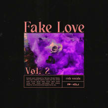 Cover art for Fake Love 2 pack