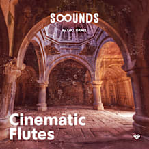 Cover art for Sounds - Cinematic Flutes pack