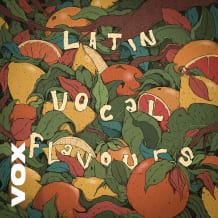 Cover art for Latin Vocal Flavours pack