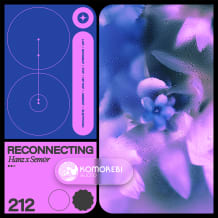 Cover art for Reconnecting - Hanz x Sem0r pack