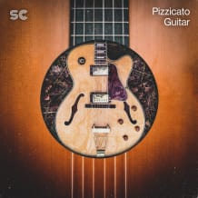 Cover art for Pizzicato Guitar pack