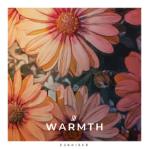 Cover art for Warmth pack