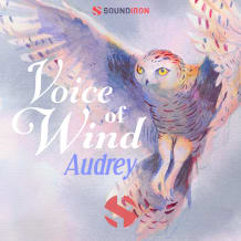 Cover art for Voice of Wind Audrey Phrases pack