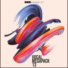 Cover art for Vocal Megapack 13 pack