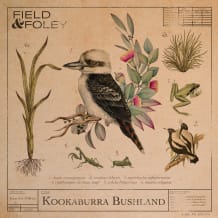 Cover art for Kookaburra Bushland pack