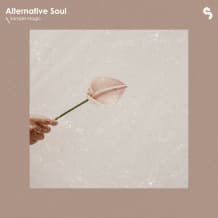 Cover art for Alternative Soul pack