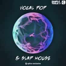 Cover art for Vocal Pop & Slap House pack