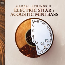 Cover art for Global Strings Vol.2: Electric Sitar & Mini Bass pack